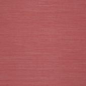 BN international Colour line - артикул 49460