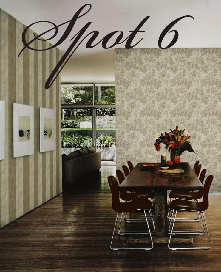 Spot 6