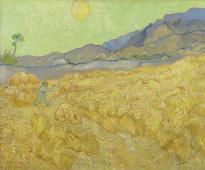 BN international Van Gogh - артикул 30544