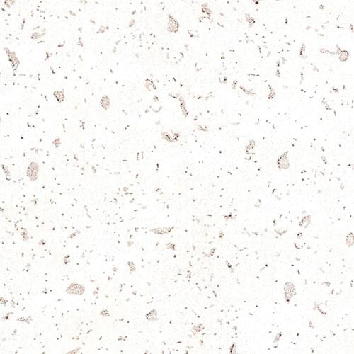 Обои Atlas Iconic 5073-2