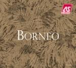 Borneo