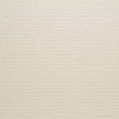 BN international Colour line - артикул 49100