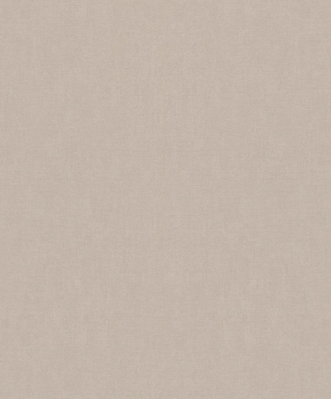 Обои Rasch Emilia 502343