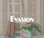 Evasion