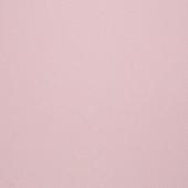 BN international Colour line - артикул 49377