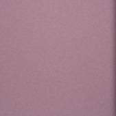 BN international Colour line - артикул 49357