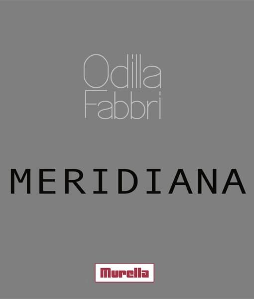 Meridiana 300