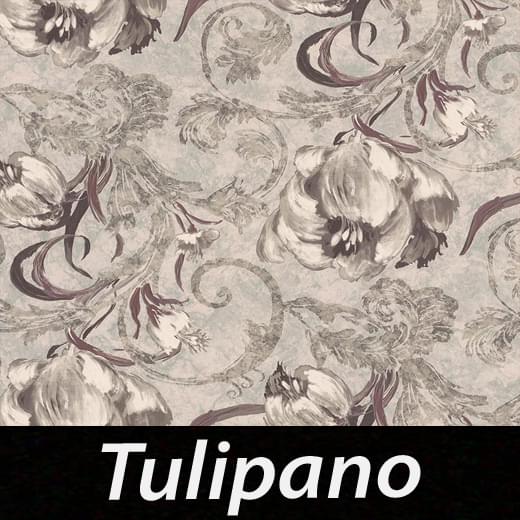 Tulipano