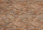 Обои Komar Эксклюзив 8-741 Обои Komar Эксклюзив 8-741