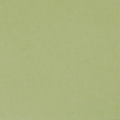 BN international Color Stories - артикул BN 48466