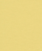 Rasch-textil Aristide - артикул 228471