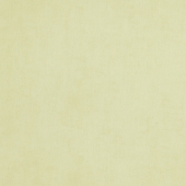 BN international Color Stories - артикул BN 218504