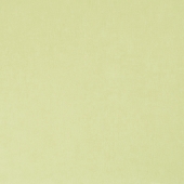 BN international Color Stories - артикул BN 48445