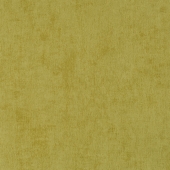 BN international Color Stories - артикул BN 48469