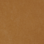 BN international Color Stories - артикул BN 48450