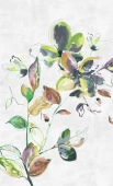 BN international Atelier - артикул BN 30622