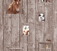 A.S Creation Little Stars - артикул 35842-2