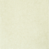 BN international Color Stories - артикул BN 46011