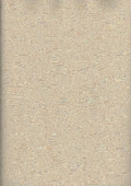 Rasch Palase - артикул 516913