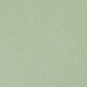 BN international Color Stories - артикул BN 48463