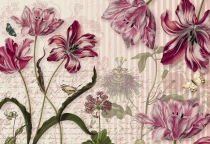 Komar Floral - артикул 8NW-510
