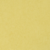 BN international Color Stories - артикул BN 48468