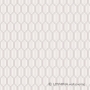 Обои Loymina Clair CLR6 002 Обои Loymina Clair CLR6 002