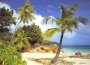 Обои Komar Tropical 8-885 Обои Komar Tropical 8-885