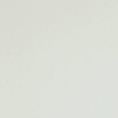 BN international Speach - артикул BN 219019