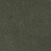 BN international Color Stories - артикул BN 48465