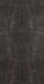 BN international Curious - артикул BN 17950